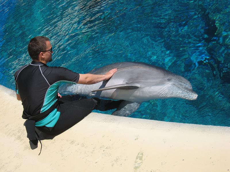 Dolphin in Siegfried and Roy's Secret Garden